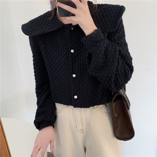 Spring / Autumn Big Lapel Collar Long Sleeves French Lace Buttons Blouse - Image 2