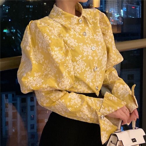 Puff Long Sleeves Embroidery Floral Blouse