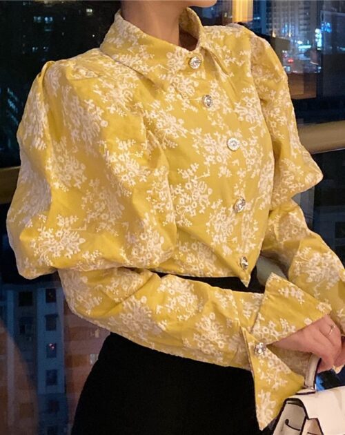 Puff Long Sleeves Embroidery Floral Blouse