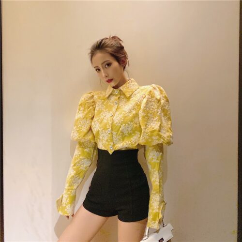 Spring / Autumn Turn-Down Collar Puff Long Sleeves Embroidery Floral Blouse - Image 3