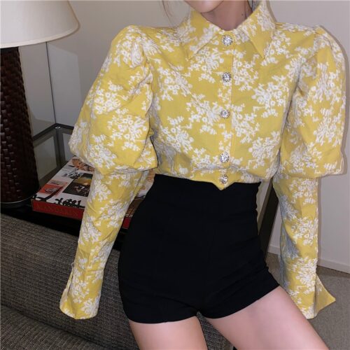 Spring / Autumn Turn-Down Collar Puff Long Sleeves Embroidery Floral Blouse - Image 2