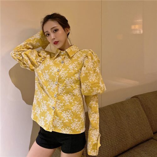 Spring / Autumn Turn-Down Collar Puff Long Sleeves Embroidery Floral Blouse - Image 4