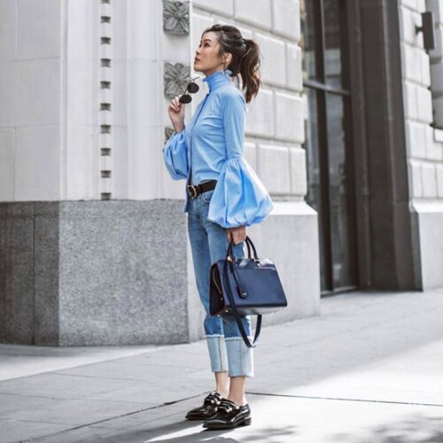 Ruffle Stand Collar Long Wide Lantern Sleeves Solid Blouse